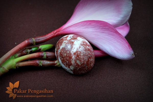 mustika pengasihan tundung gawuk - 1